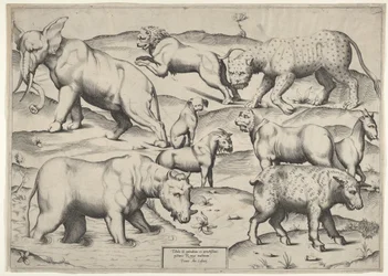 Varios animales