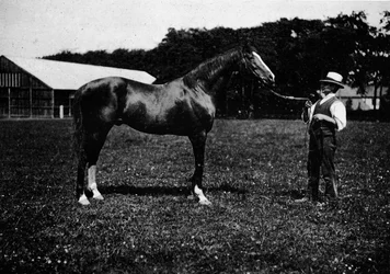 Victor Wild, 1911