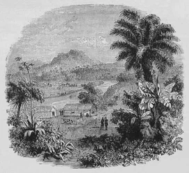 Vista en Cayena, c1880