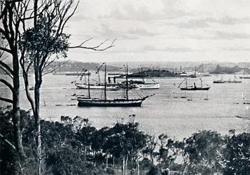 Vista del puerto de Sídney desde North Shore, No. 1, c1900
