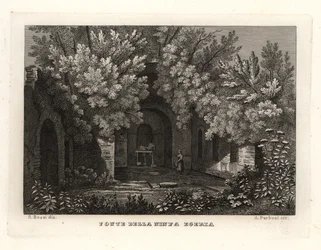 Vista del manantial de la ninfa Egeria, Fonte della Ninfa Egeria, Parco Cafarella, Roma