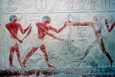 Pintura mural de 3 carniceros cortando una carcasa, Tumba de Idut, V Dinastía, c. 2350 a.C.