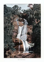 Cascada en Tijuca, Río de Janeiro, Brasil, siglo XIX