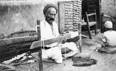 Tejedor, Muttra, 1917