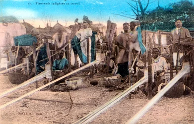 Tejedores, África