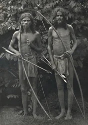 Wedda con arco y flechas, 1926