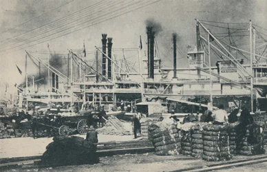 Cuando se cargaba algodón, un bosque de grúas y chimeneas, 1937