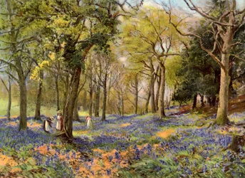 Jacintos silvestres en un bosque de Surrey, 1906