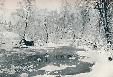 Vista invernal del museo al aire libre en Skansen, c1900