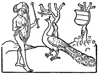 Mujer y pavo real, 1475, 1964.