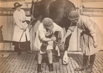 Mujeres como herradores en el hospital de caballos de una gran empresa de transporte, c1916, 1935