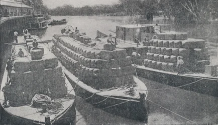 Barcazas de lana en el río Murray