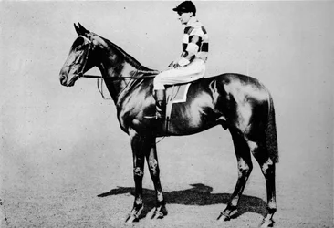 Enrollador de lana, 1904-1928, 1911