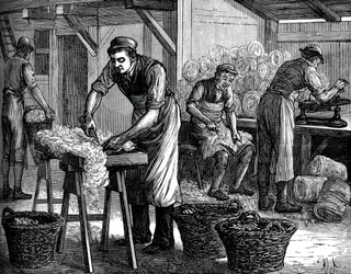 Clasificadores de lana, c. 1880
