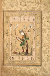 Joven Sentado en la Horquilla de un Árbol en Flor, 1560s