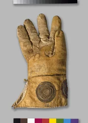 Guante de cetrería, de la colección Tradescant