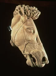 Cabeza de un caballo, siglos IV-V a.C.