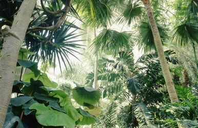 Vista interior de la Casa de las Palmas