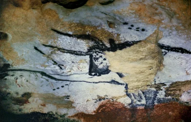 Pintura rupestre de un toro con cuernos largos, la Sala de los Toros, c.17000 a.C.