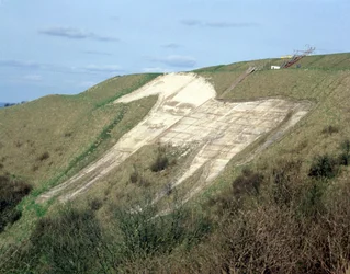 El caballo blanco de Westbury