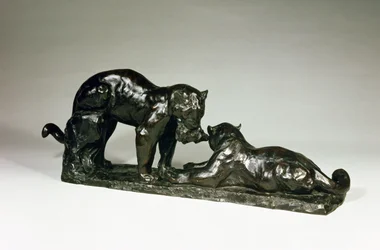 Dos jaguares