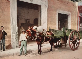 Un carro de mulas en La Habana