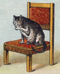 Un gato en una silla. Grabado en "Alphabet de ma petite fille". Bernardin-Bechet y Fils, libreros-editores, París, alrededor de 1895. Álbum irrompible sobre lienzo. Biblioteca de Bebés. 12 páginas. Álbum que contiene un método de lectura y un abecedario il