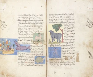 Una página del manuscrito persa "Aja"ib al-Makhluqat wa Ghara"ib al-Maujudat"