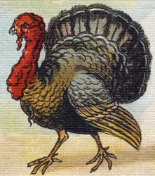Un pavo. Grabado en "Alphabet de ma petite fille". Bernardin-Bechet y Fils, libreros-editores, París, alrededor de 1895. Álbum irrompible sobre lienzo. Bibliothèque des Bébés. 12 páginas. Álbum que contiene un método de lectura y un abecedario ilustrativo.