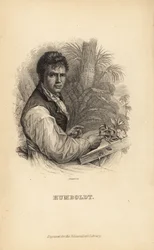 Alexander von Humboldt, explorador, naturalista y botánico alemán