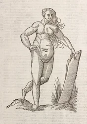Andrógino
