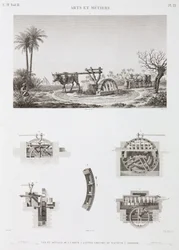 Irrigación con tracción animal, Egipto, c. 1798