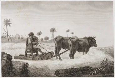 Agricultura de Secano, Cosecha. Máquina de trilla, Egipto, c. 1798
