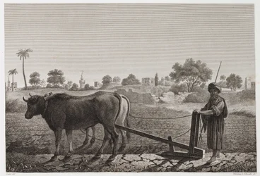 Arado con bueyes, Egipto, c. 1798