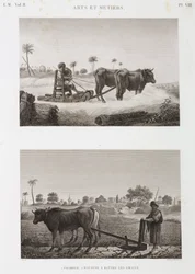 Agricultura arable, arado y máquina de trilla, Egipto, c 1798
