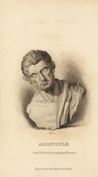 Aristóteles, filósofo y naturalista griego, 384-322 a.C.