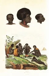 Aborígenes australianos y cabezas de nativos de Waigeo, Papúa Occidental1834-1839 (grabado)