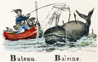 B - Barco Ballena - Alfabeto - entretenimiento infantil - Imagen epinal, serie popular c.1890 (ilustración)