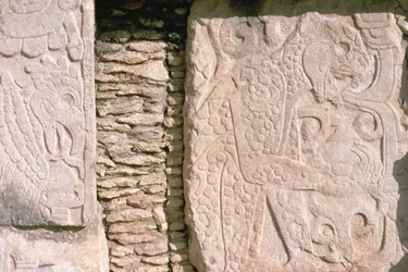 Bajorrelieve que representa jaguares sacando corazones humanos de víctimas sacrificiales