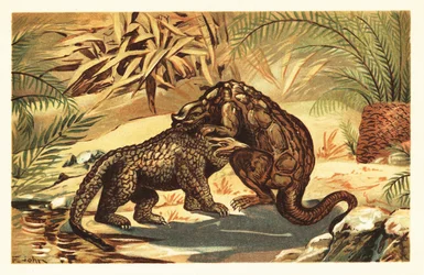 Batalla entre un Megalosaurus bucklandii y un Iguanodon bernissar1908 (litografía)