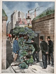 Cazador furtivo en París
