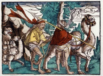 Caravana en África