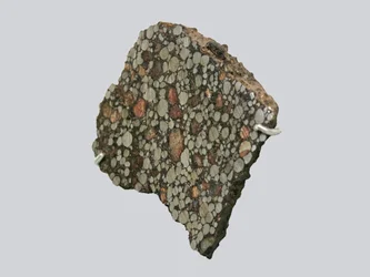Condrita carbonácea (CBA). Caída en Gujba (Nigeria) en 1984. Museo Nacional de Historia Natural, París.