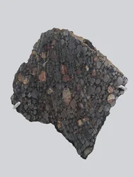 Condrita carbonácea (CBA). Caída en Gujba (Nigeria) en 1984. Museo Nacional de Historia Natural, París.