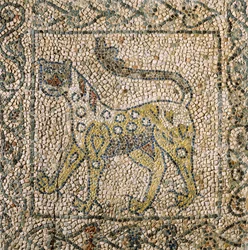 Iglesia de San Juan Evangelista, Cuarta Cruzada, Fragmentos de suelos de mosaico que representan una pantera moteada, Rávena, Emilia-Romaña, Italia