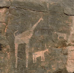 Primer plano de pinturas prehistóricas, Desierto de Tenere, Níger