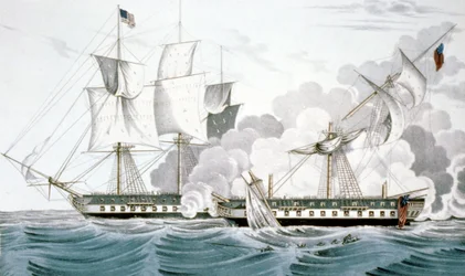 Constitución y Java