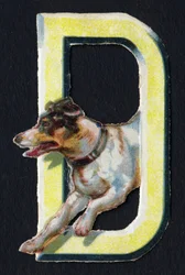 D de Perro. Escarabajo decoupis sobre el tema de los animales. Grabado. Serie de 26 cromolitografías de gofre de origen inglés. Editor e ilustrador desconocidos. Finales del siglo XIX.