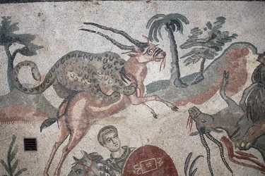 Detalle del mosaico de la gran caza. Un leopardo atacando a una gacela. Siglo III - IV. Villa Romana del Casale, Sicilia. Sitio UNESCO.