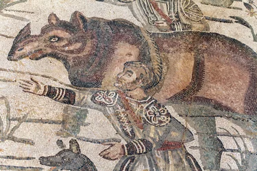 Detalle del mosaico de la gran caza. Un rinoceronte está siendo llevado a un barco para ser transportado al puerto más cercano. Siglo III - IV. Villa Romana del Casale, Sicilia. Sitio UNESCO.